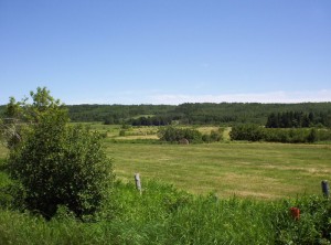 Paysage Bas-Saint Laurent